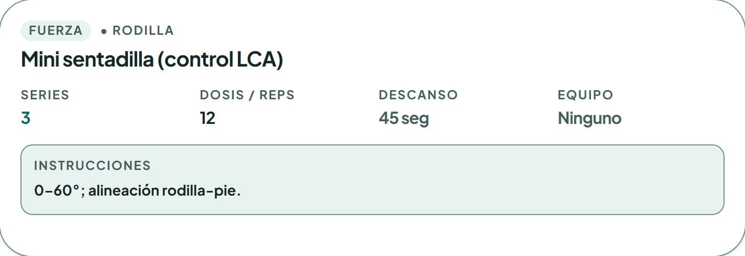 Plan domiciliario en el escritorio del terapeuta